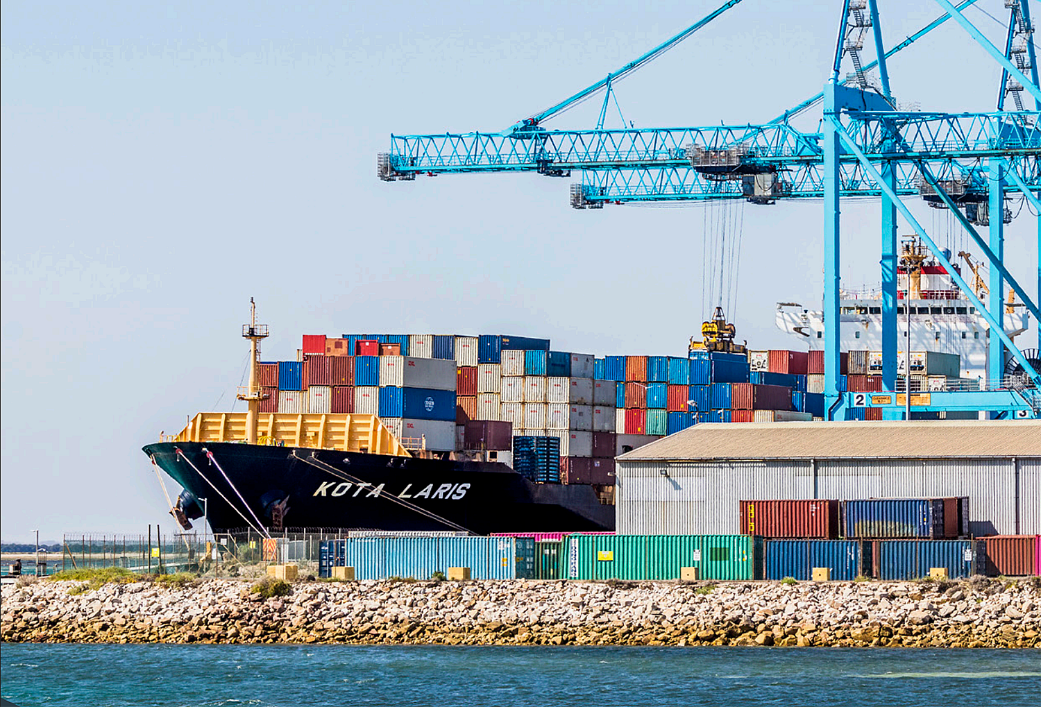 Export diversification program