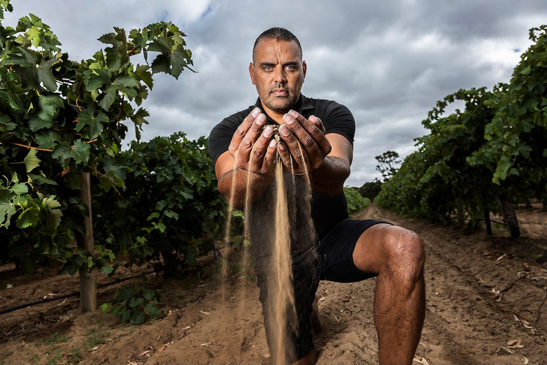 Munda Wines Case study