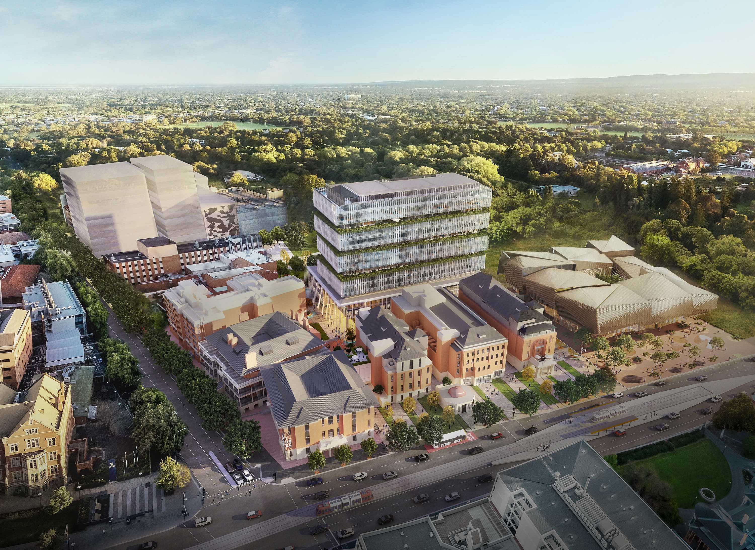 Lot Fourteen site vision with AACC web