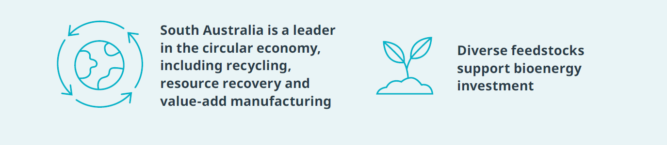 Green economy highlights