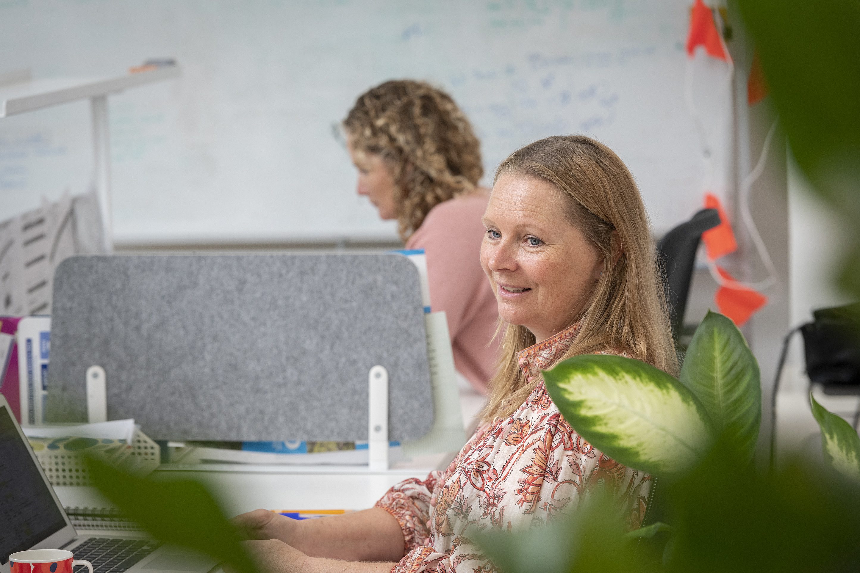 TST DIIS Campaign Norwood 29 5 23 0019